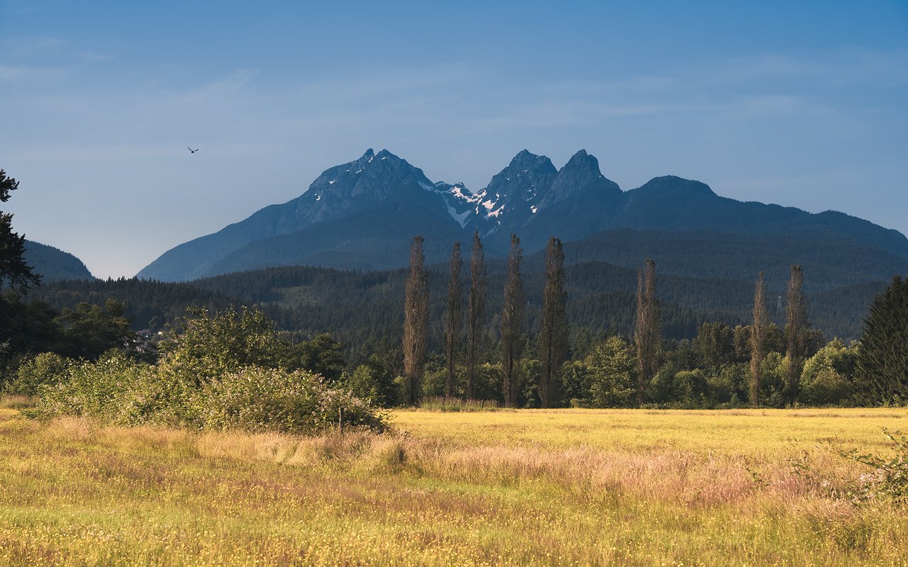 Macdonald Realty Maple Ridge 