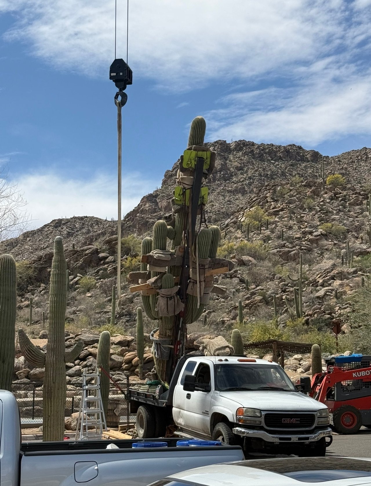 Three Century-Old Saguaros Make a Grand Entrance at Saguaro Ranch