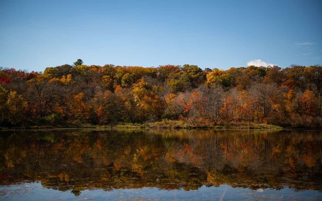 Living in White Bear Lake, MN