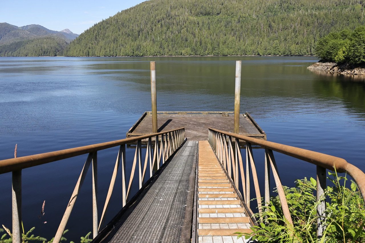 CONNECT WITH IVY ROSE