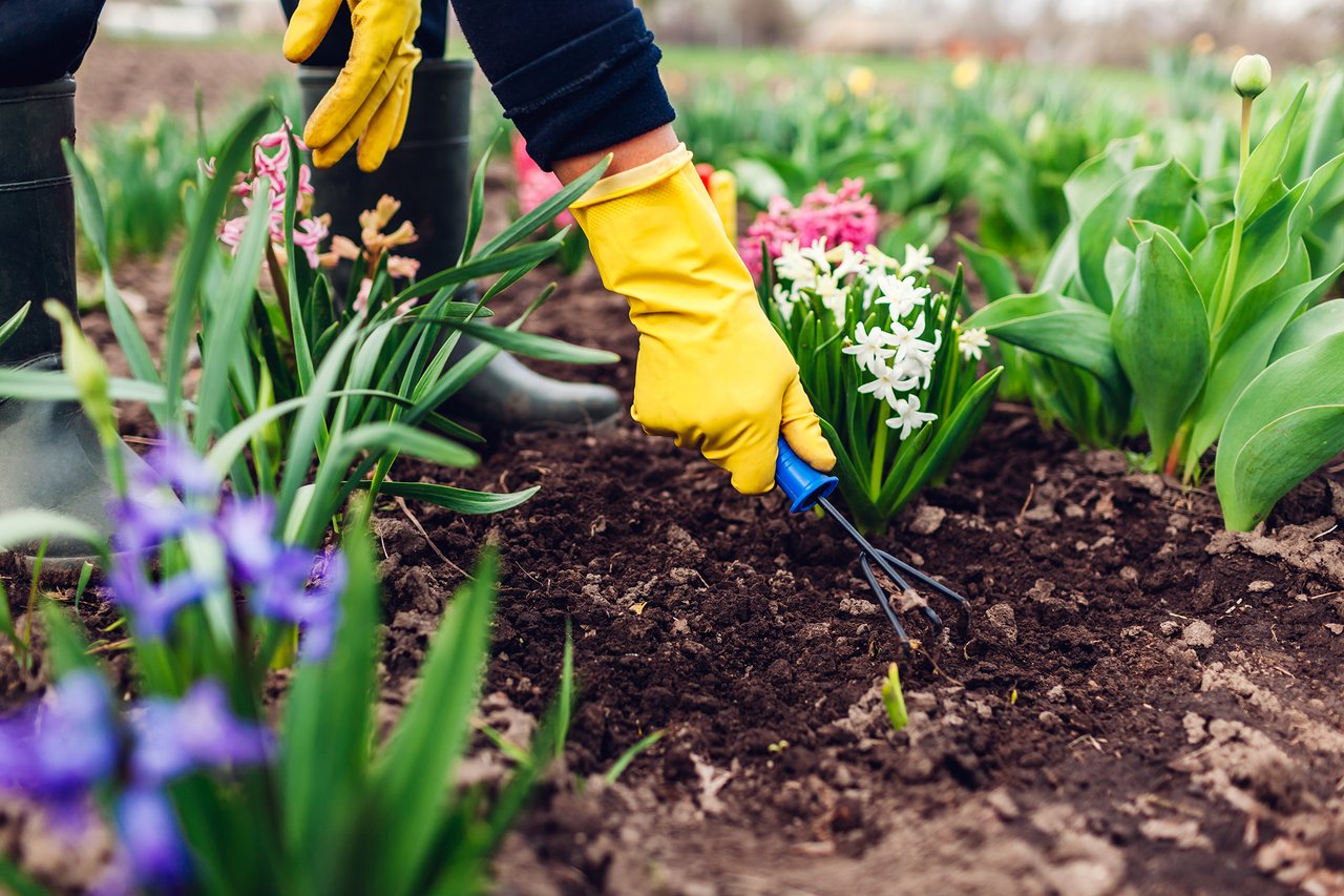 Easy Yard Upgrades to Tackle Before Spring Arrives