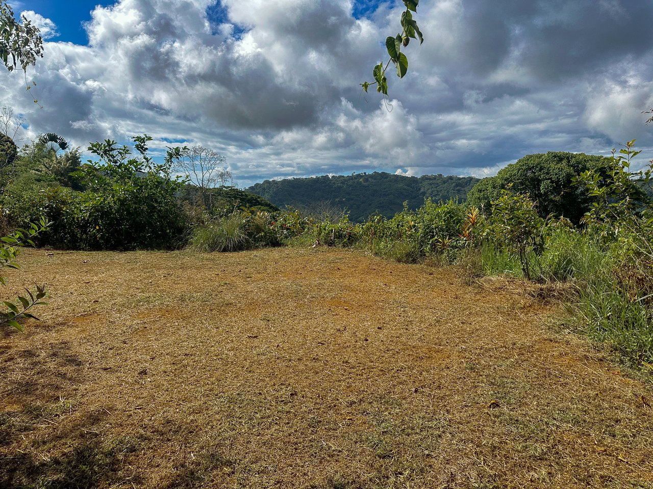 Tinamastes Costa Rica Property with Home, Yoga Deck & Land