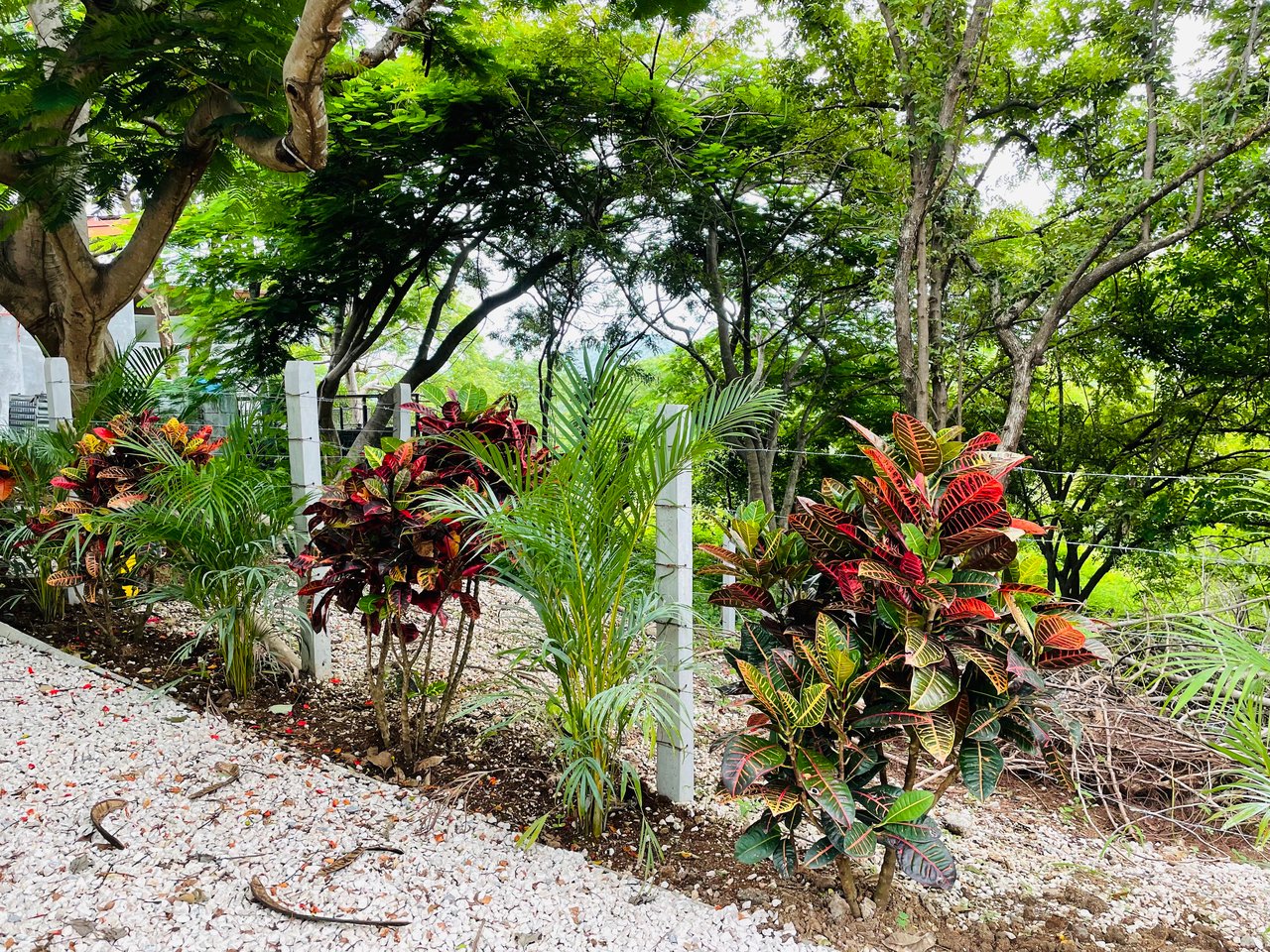 Valle Escondido Development | New Gated Community Near Tamarindo Beach