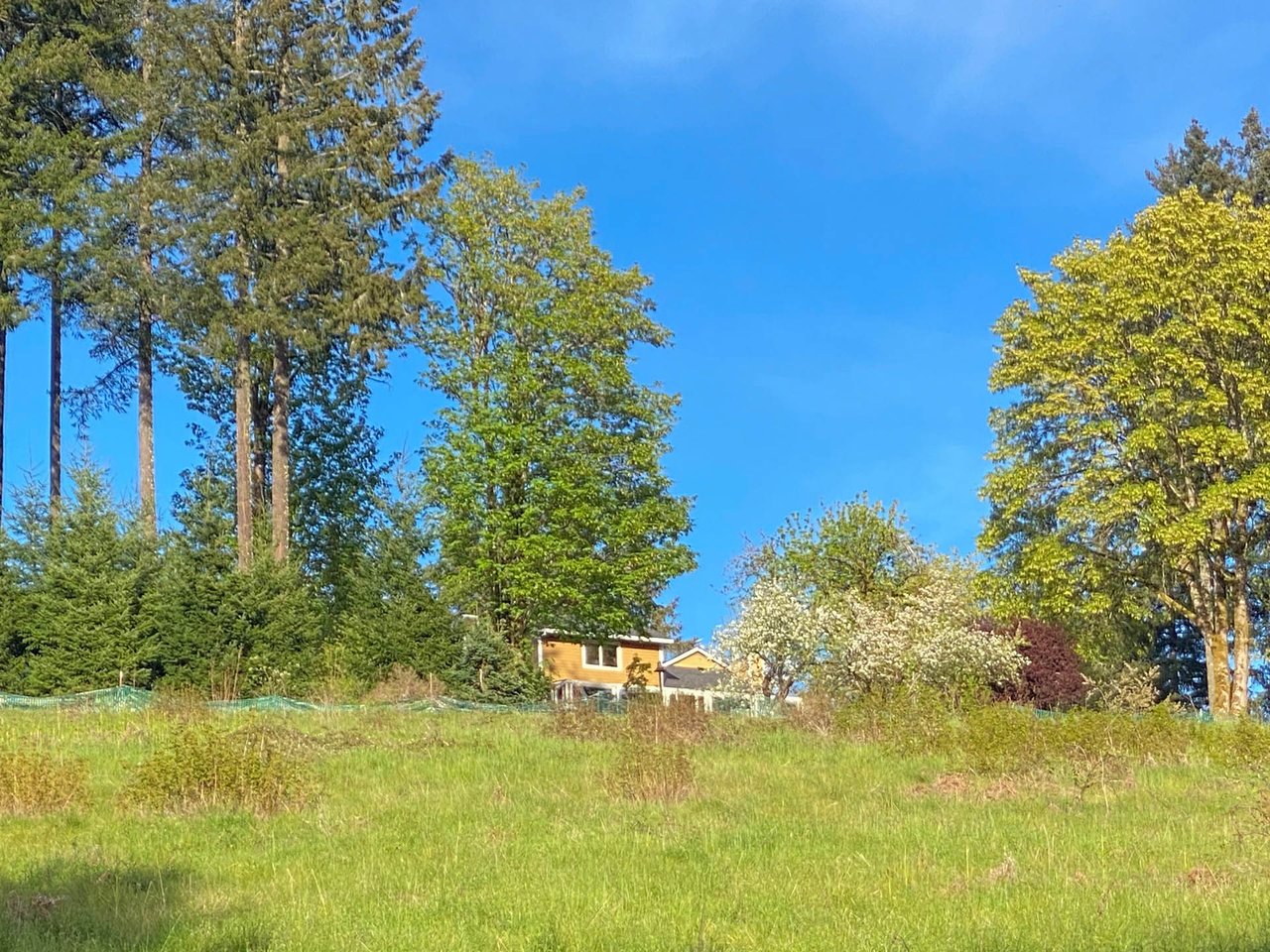 45045 NW ELK MOUNTAIN RD