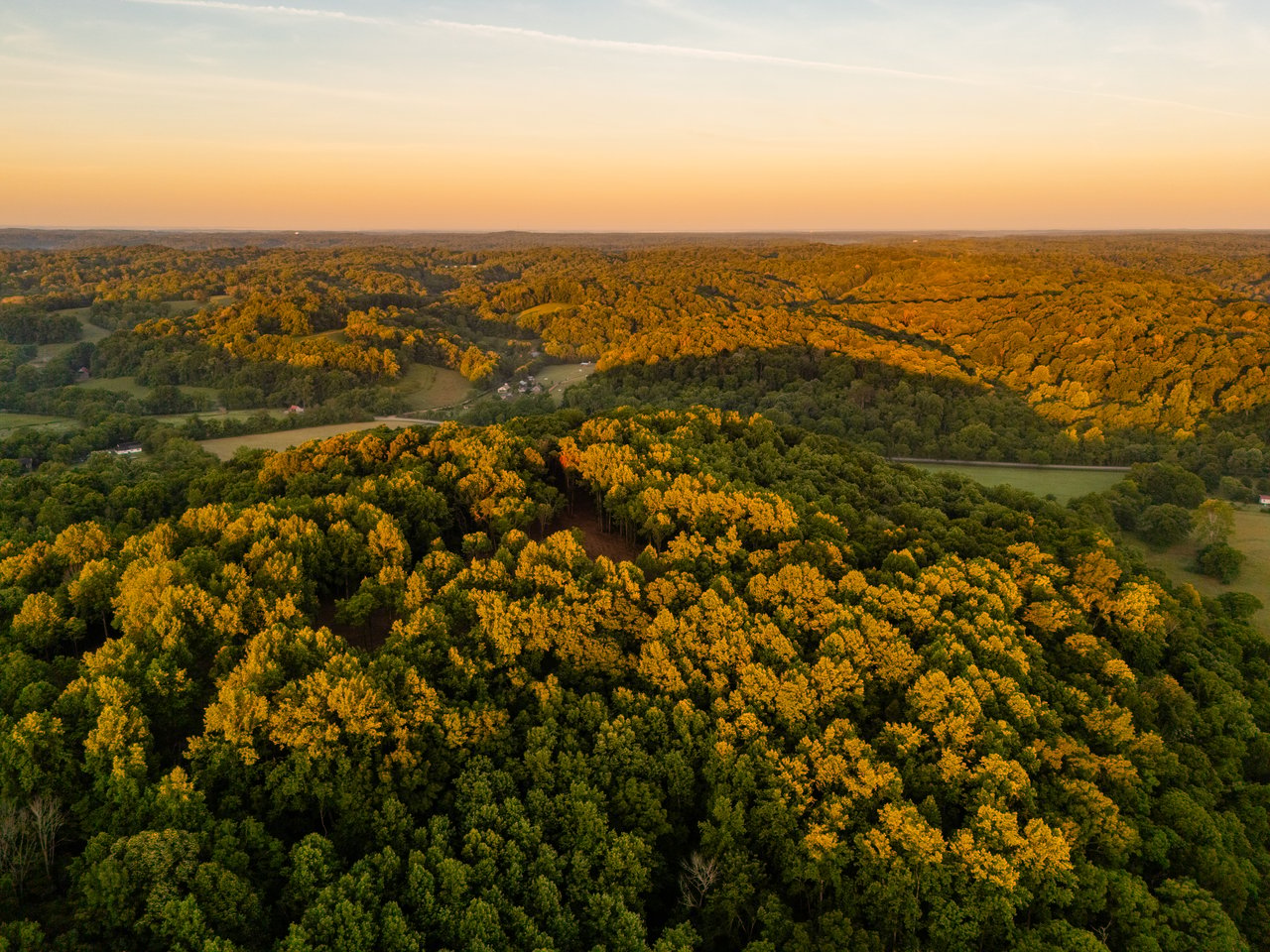 Leiper's Ridge
