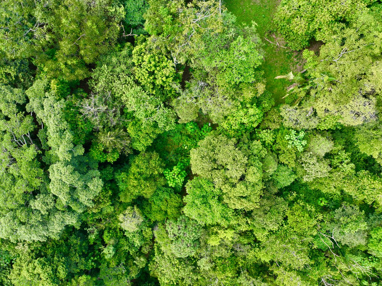 TROPICAL MASTERPIECE – 61.78 ACRES OF OCEANVIEW BLISS WITH WATERFALL