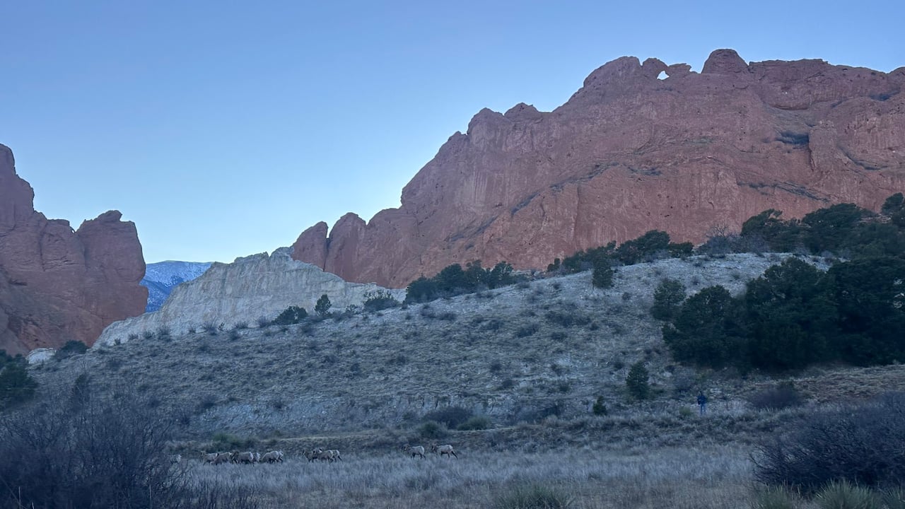 Garden of the Gods: Where Colorado Springs Comes Alive