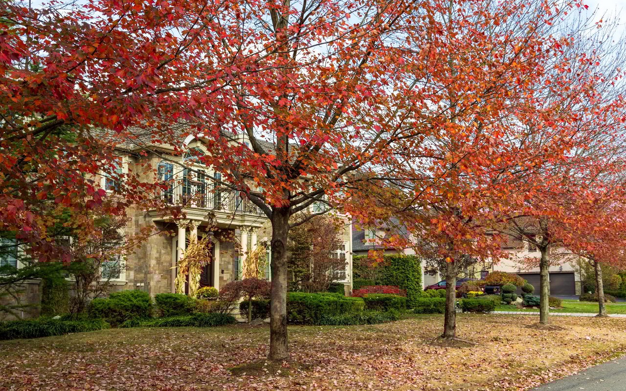 Saddle River