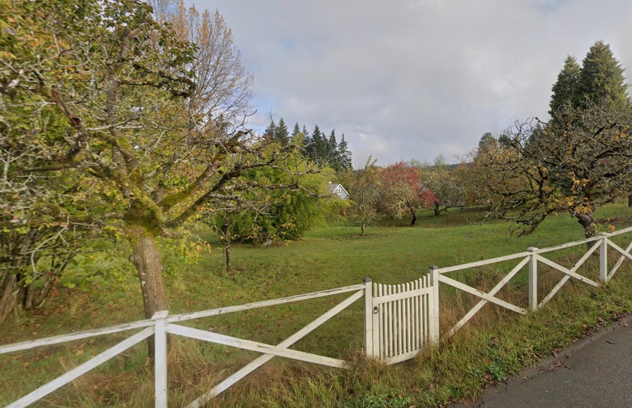 Grassy orchard with autumn trees, a distant house, and a white fence along the roadside.