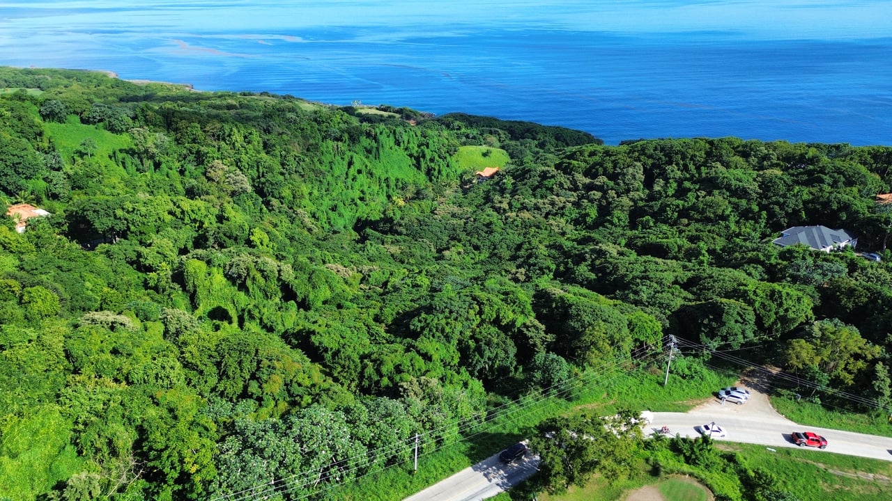 Rdft Property in West Bay (4 acres)