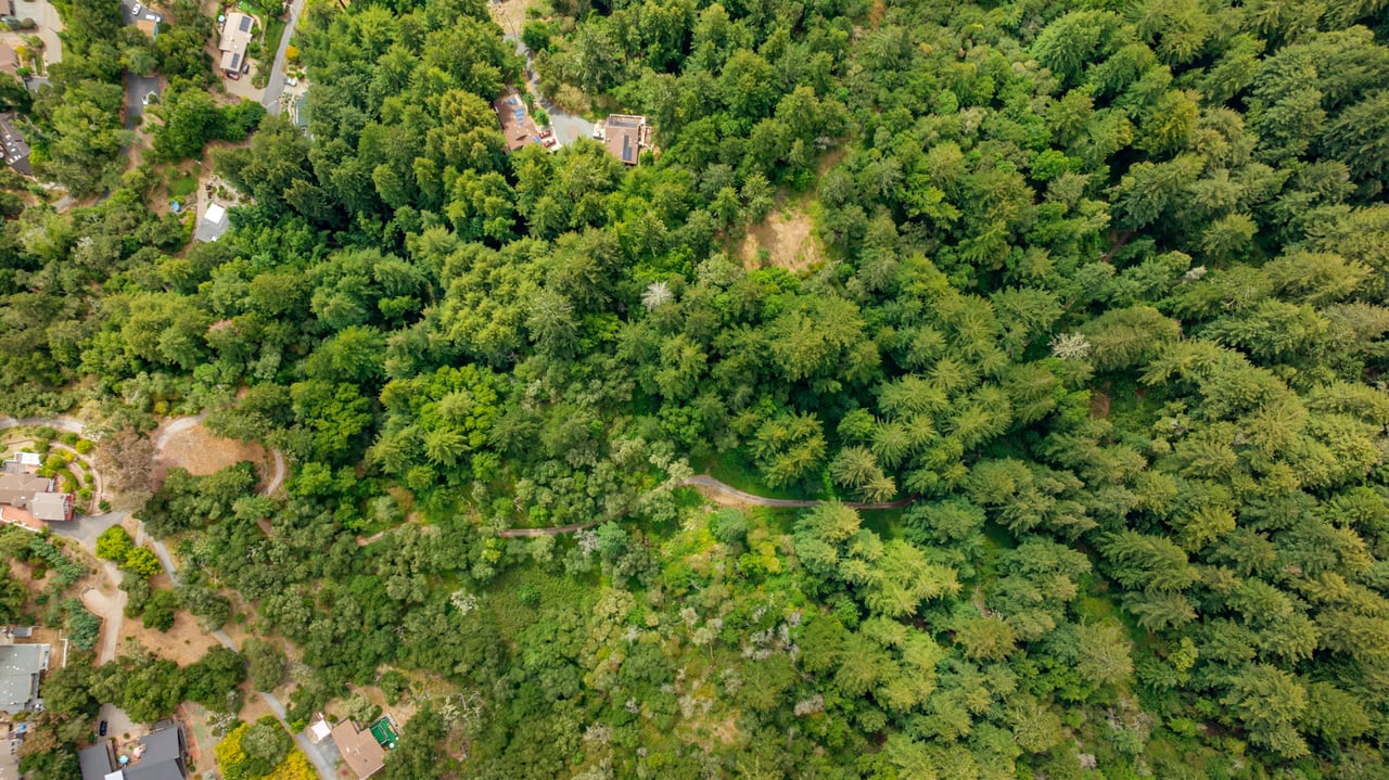 Rare Redwood Acreage in Scotts Valley