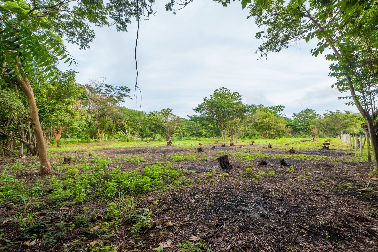 La Garita de Tamarindo Lot |1.3-Acre Home Site Near Top Beaches, Private, Scenic, and Well-Located