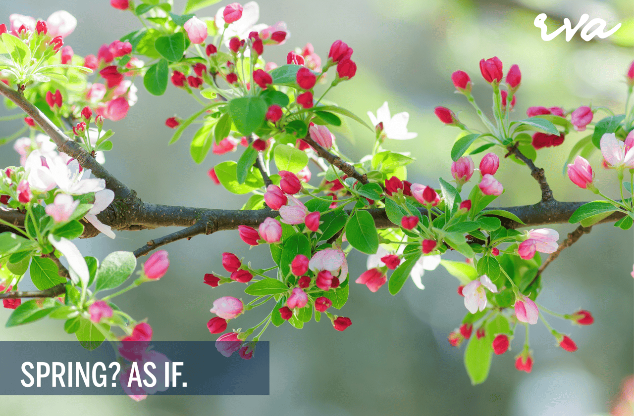 Spring? As if. cover