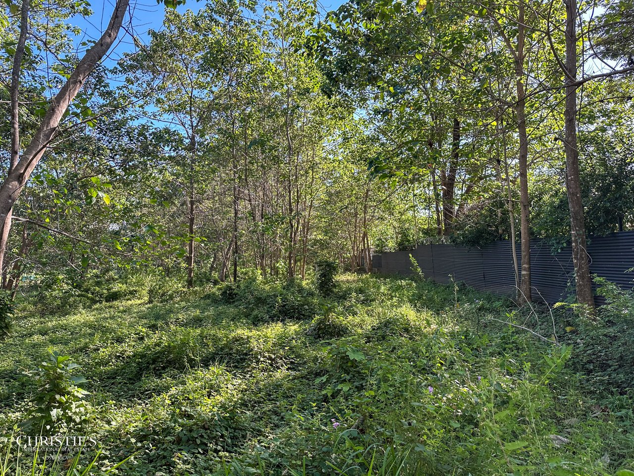 Prime Lot in Playa Avellanas — Walk to the Beach