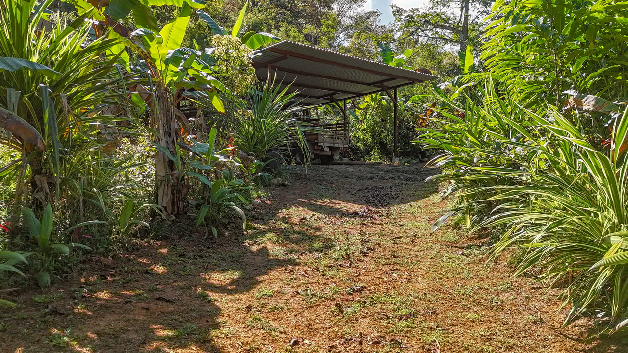 Tinamastes Costa Rica Property with Home, Yoga Deck & Land