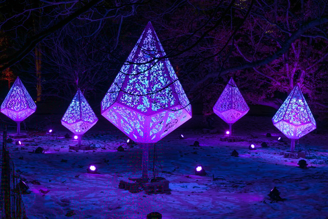 Chicago's Best Places to See Holiday Lights!