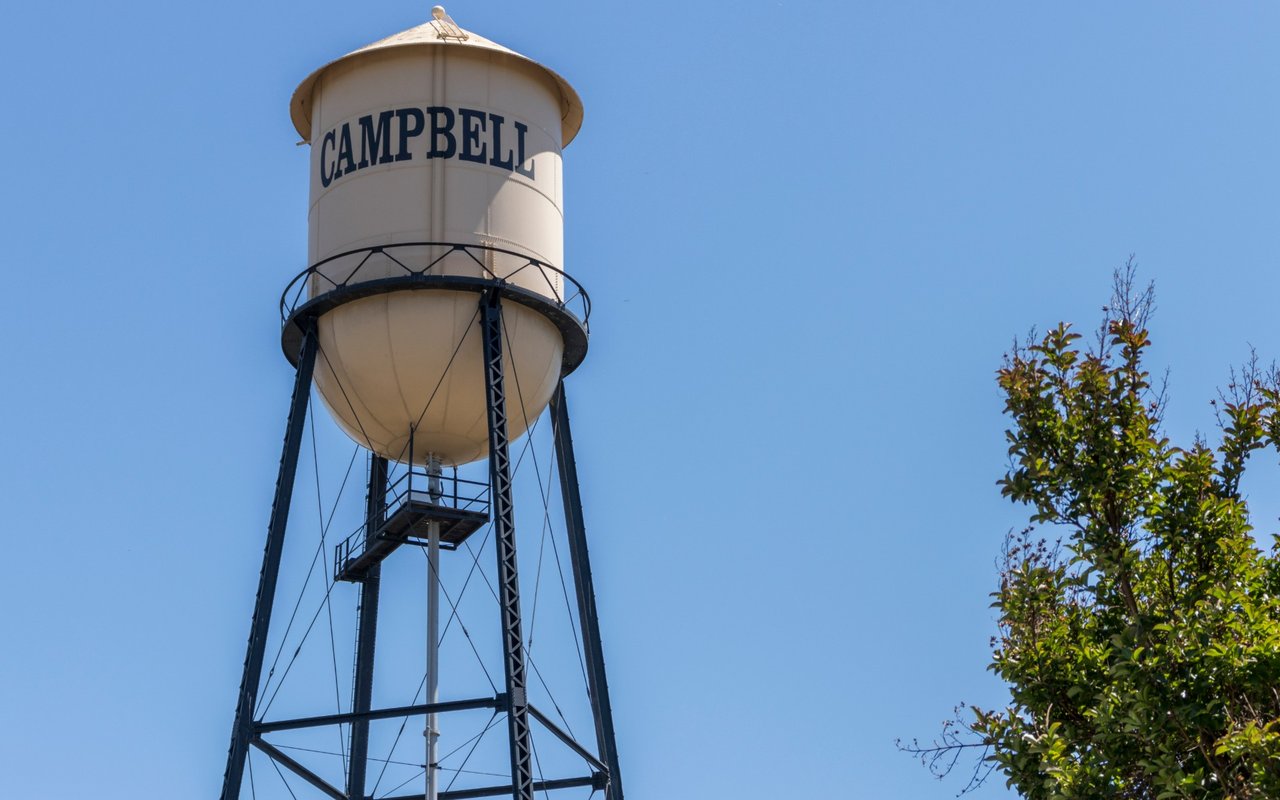 Campbell