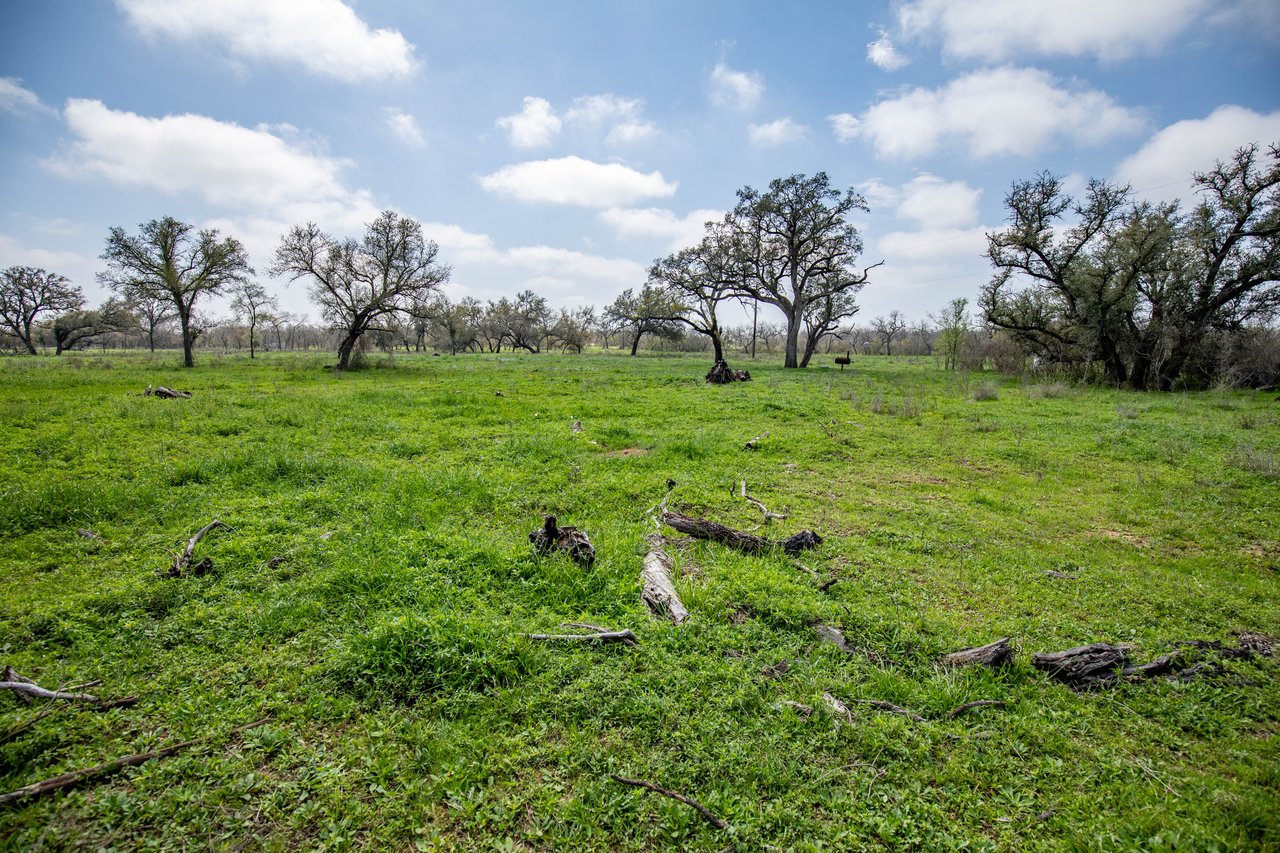 Dry Hollow Creek Ranch | 21.96± Acres | Bexar County