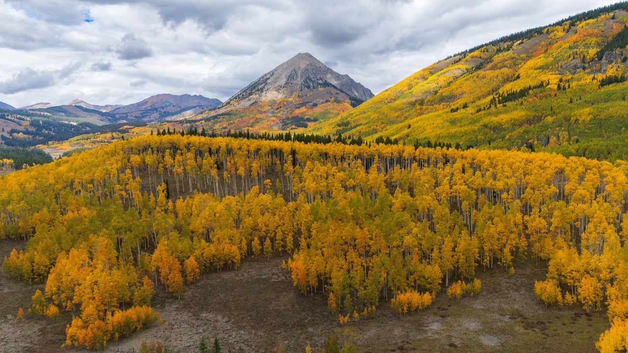 Kebler Pass in the Fall: Colorado’s Golden Wonderland