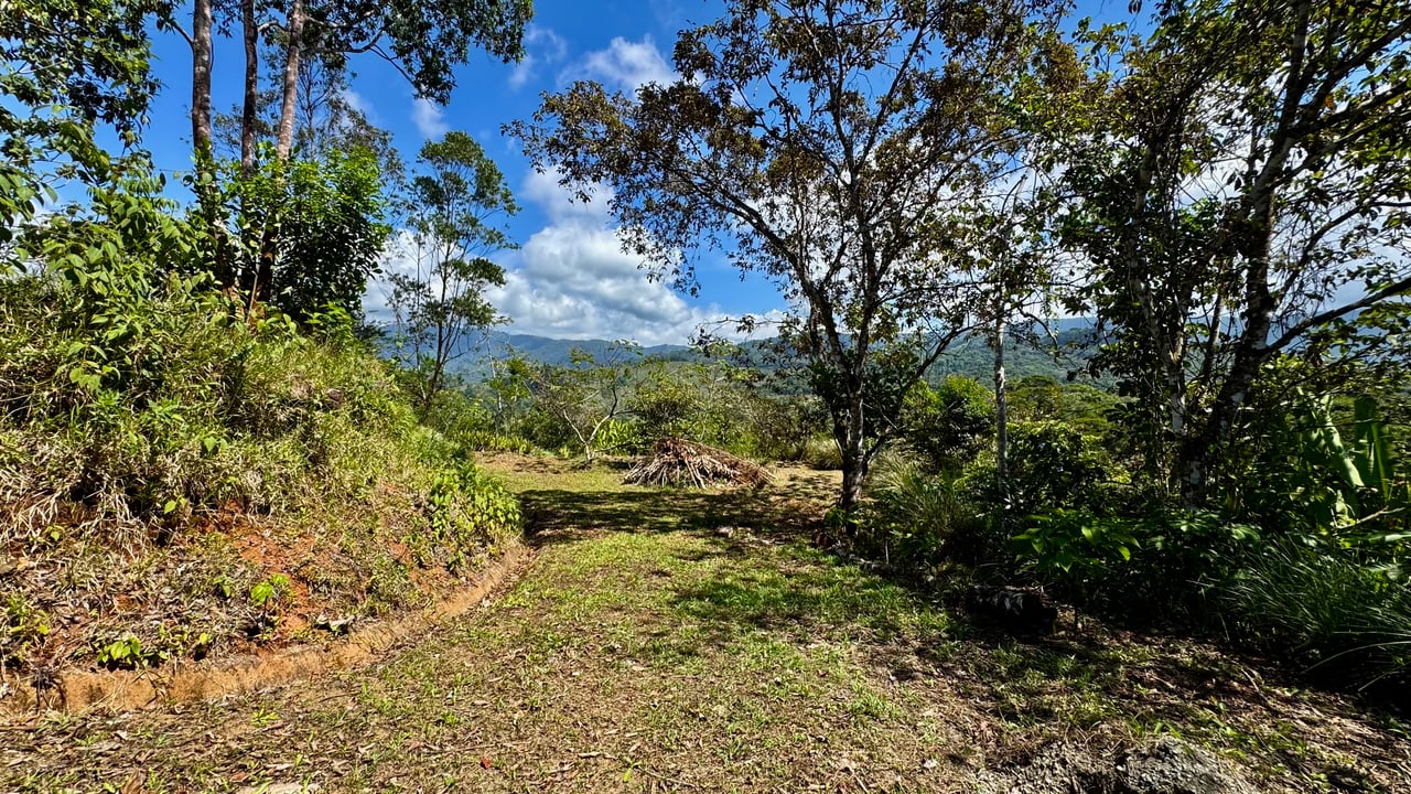 New 1,4 Acre lot in Platanillo – With Legal Water  