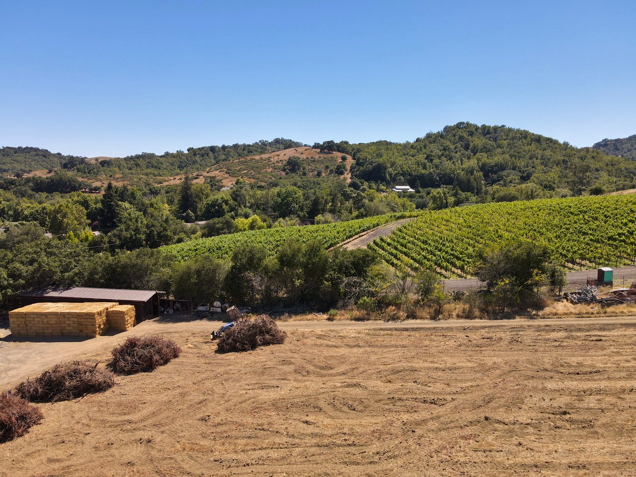 Tambor Vineyard Estate