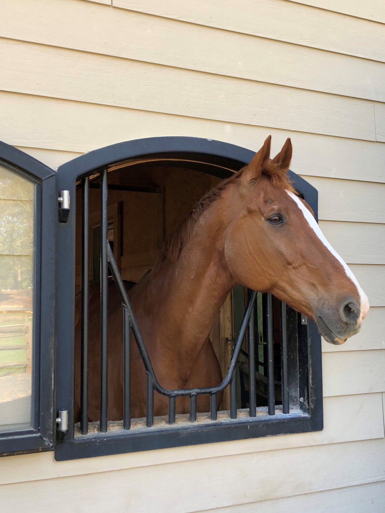 29-Acre Equestrian Estate with 14-Stall Barn