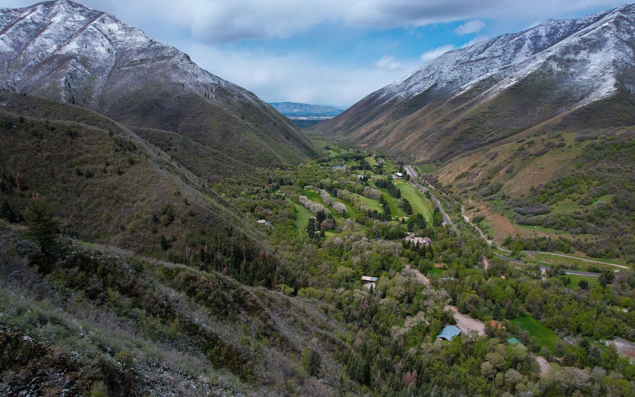 Springville