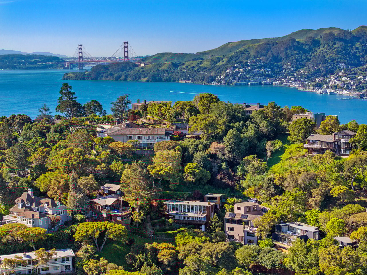 Chic and Stylish on Belvedere Island