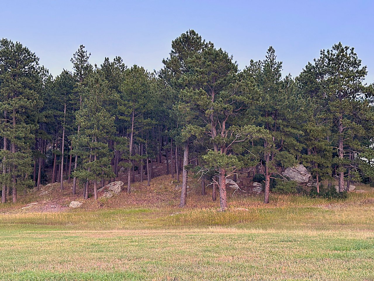 10345 Little Moon Trail