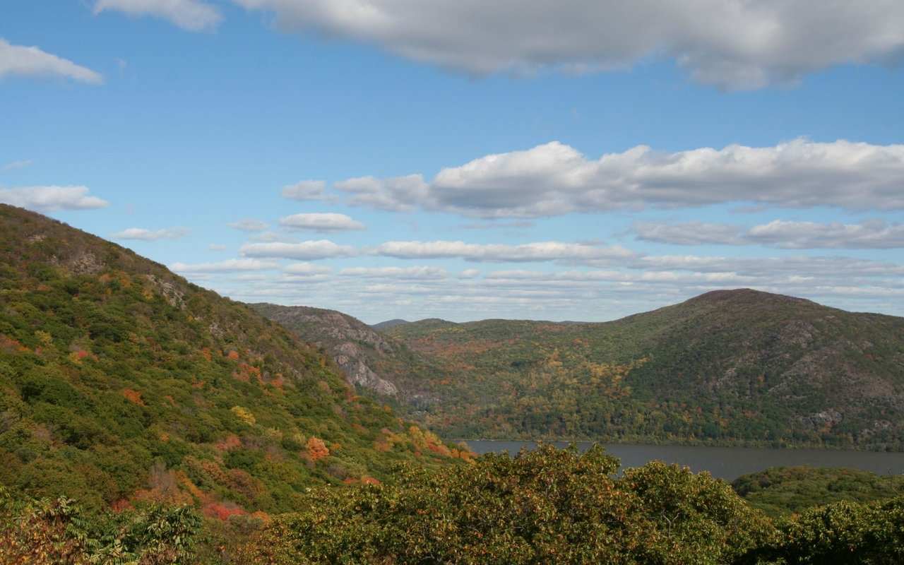 Brewster