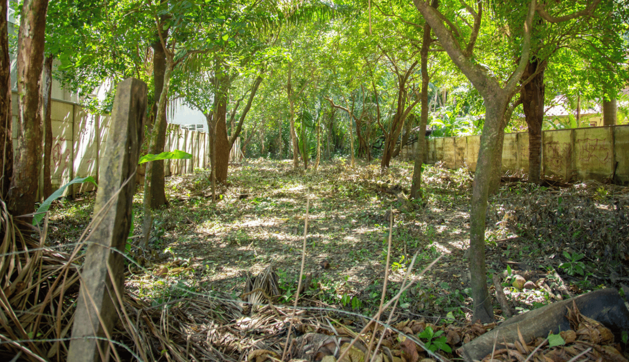 Refuge Bordering Commercial Land, Nosara, Guanacaste