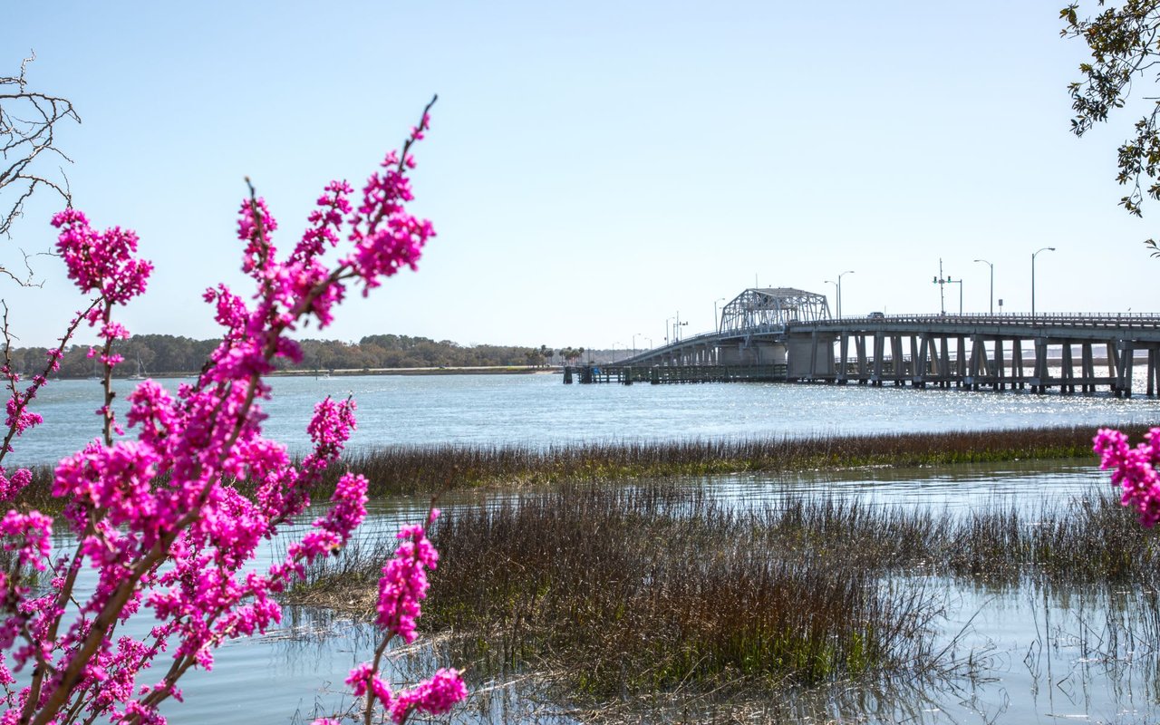 Lady's Island