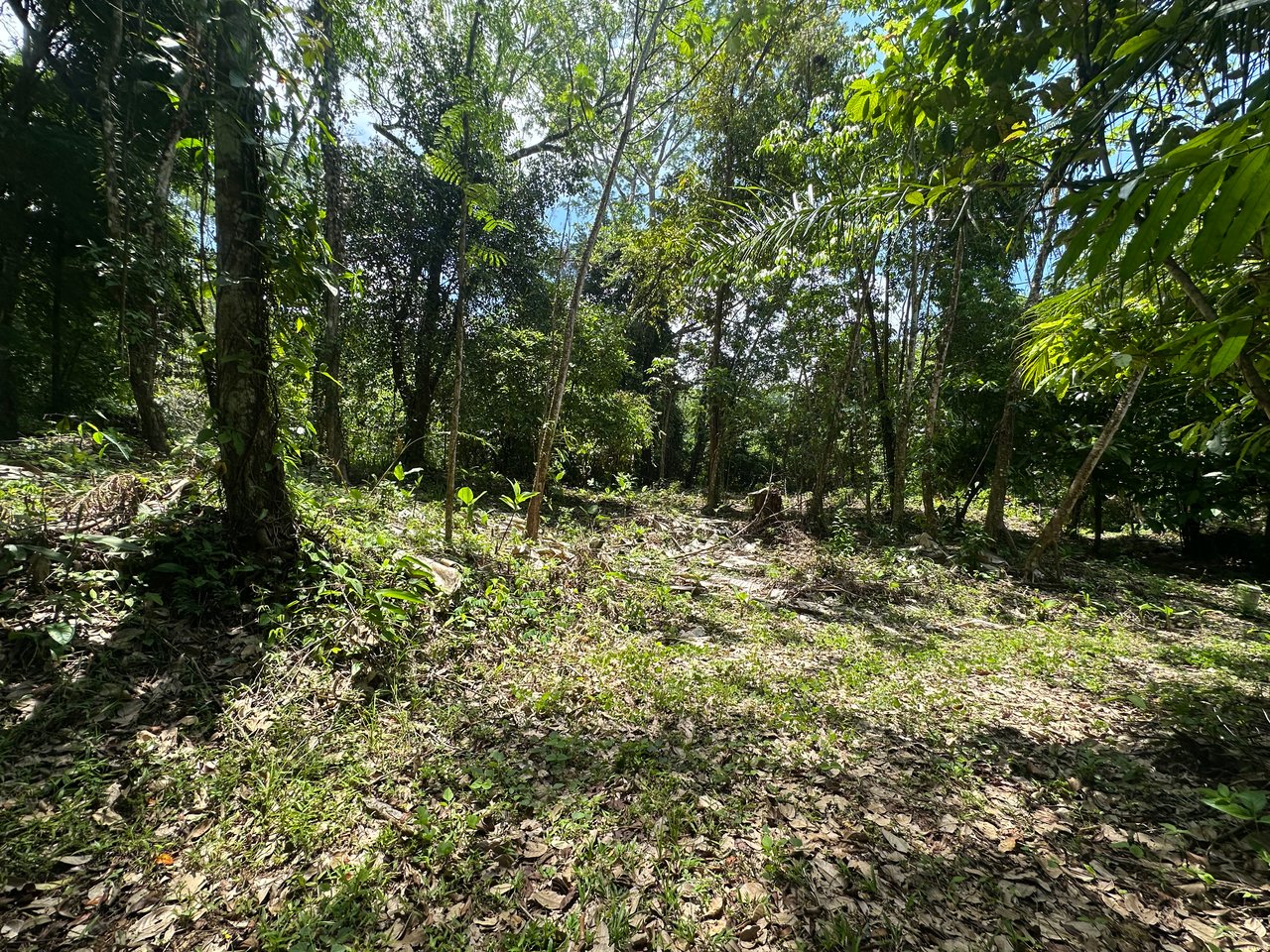Ocean View Estate Lot with Private Waterfall – Uvita