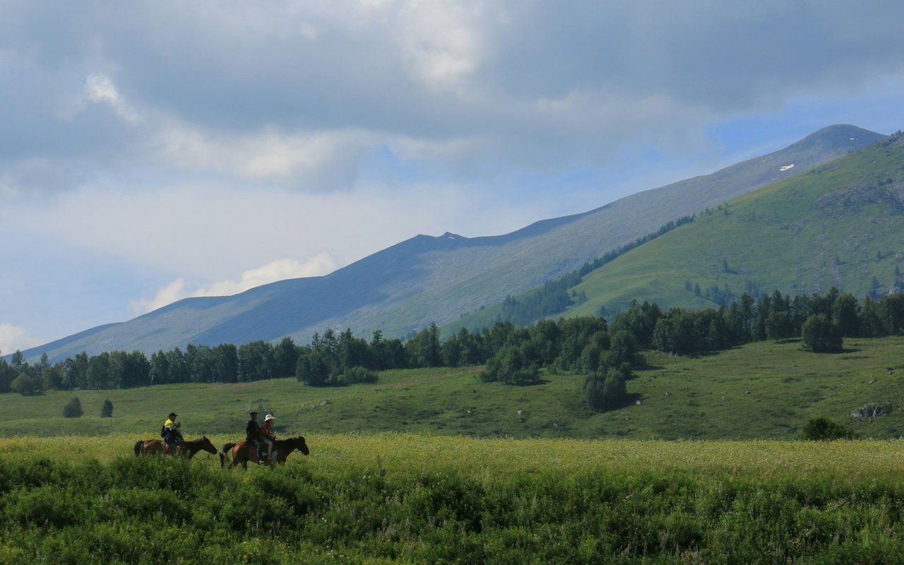Luxury Living in Montana
