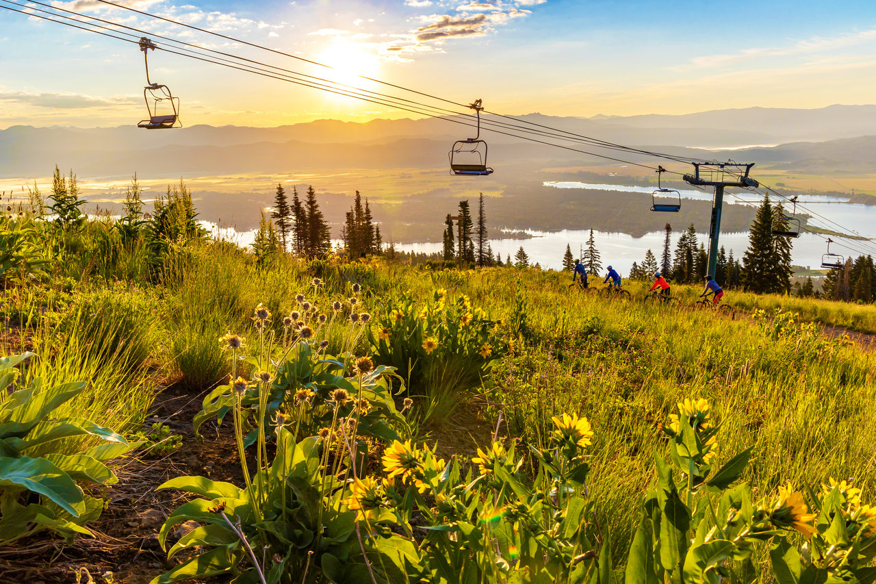 Tamarack – Donnelly