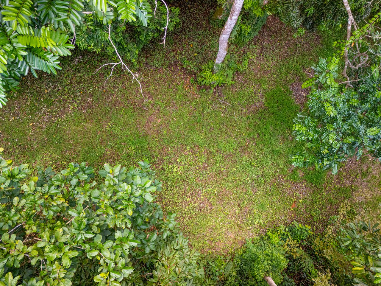 Tropical Paradise in Cascada Sándalo, Tres Ríos Ocean & Mountain Views | Gated Community | Abundant Nature