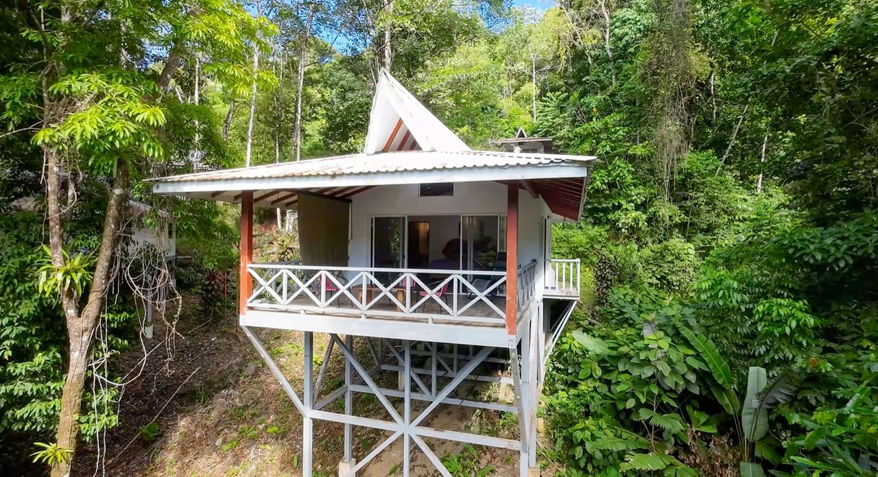 Nature Retreat Estate – Southern Pacific Zone, Costa Rica