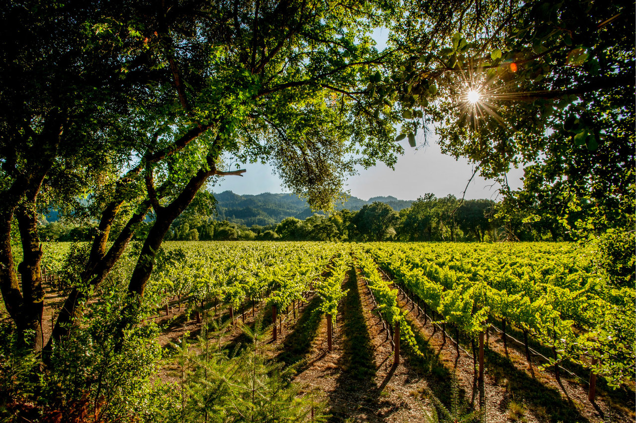 Napa County - 1M to 10M