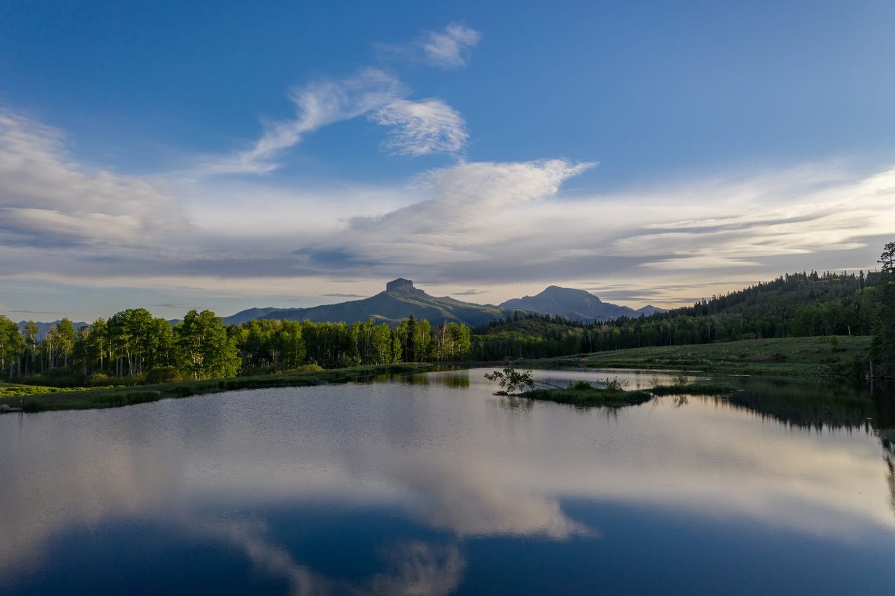 Mountain Bird Ranch