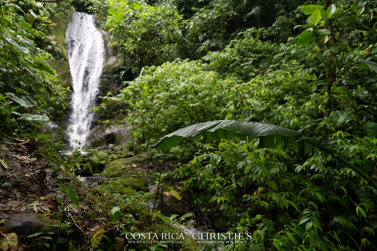 Magnificent Estate with Crystal Clear Streams & Waterfalls - Tierra Serena