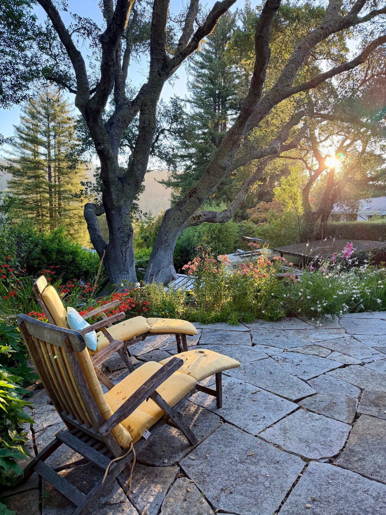 Mill Valley Legacy Property