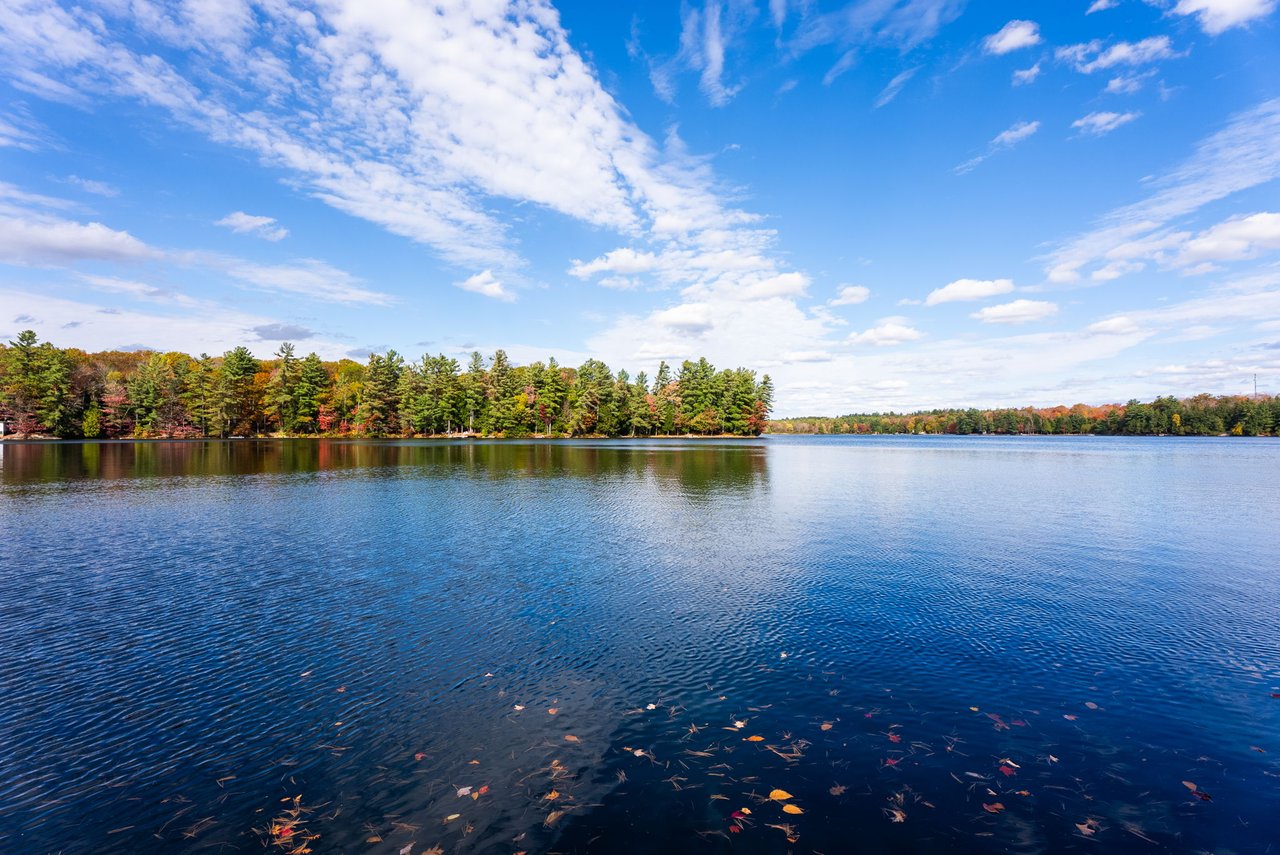 Little Whitefish Lake
