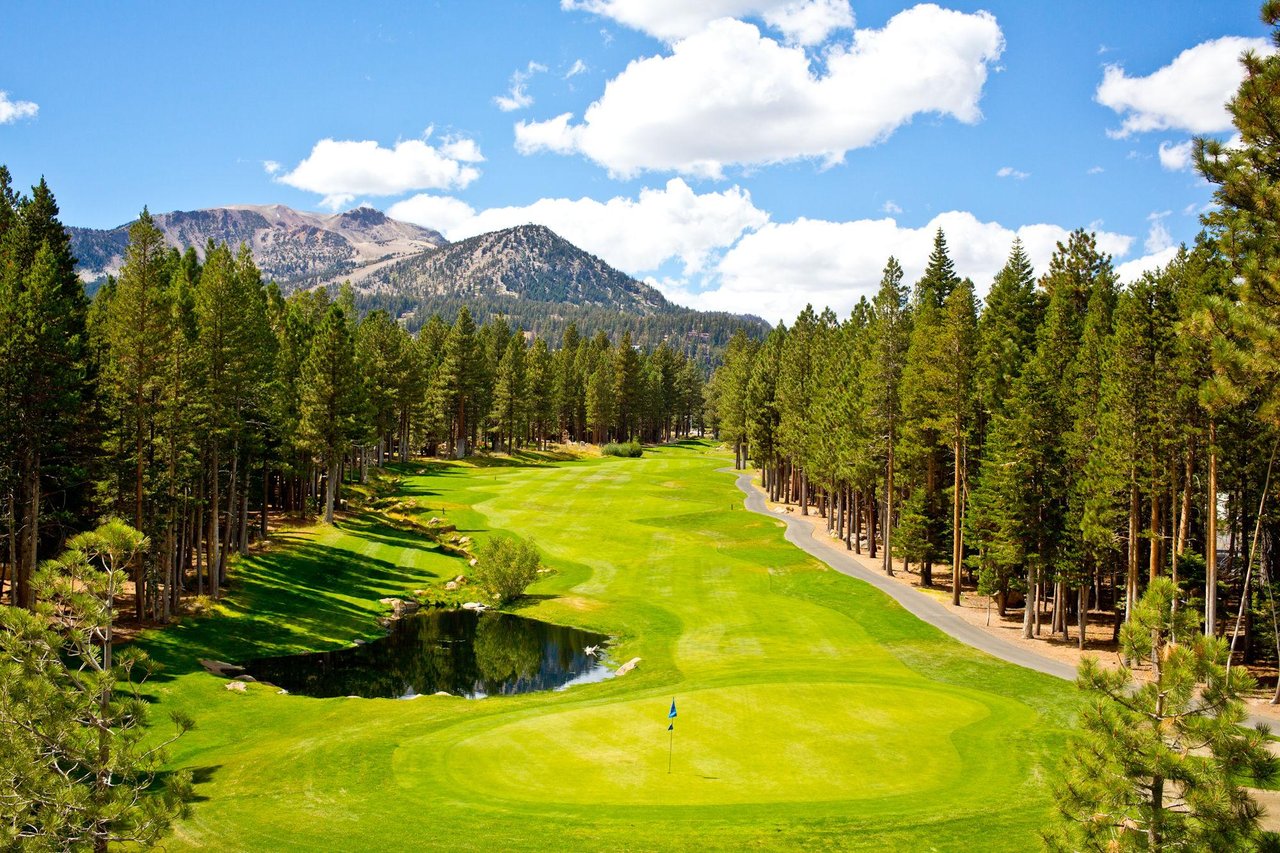 Grizzly Ranch