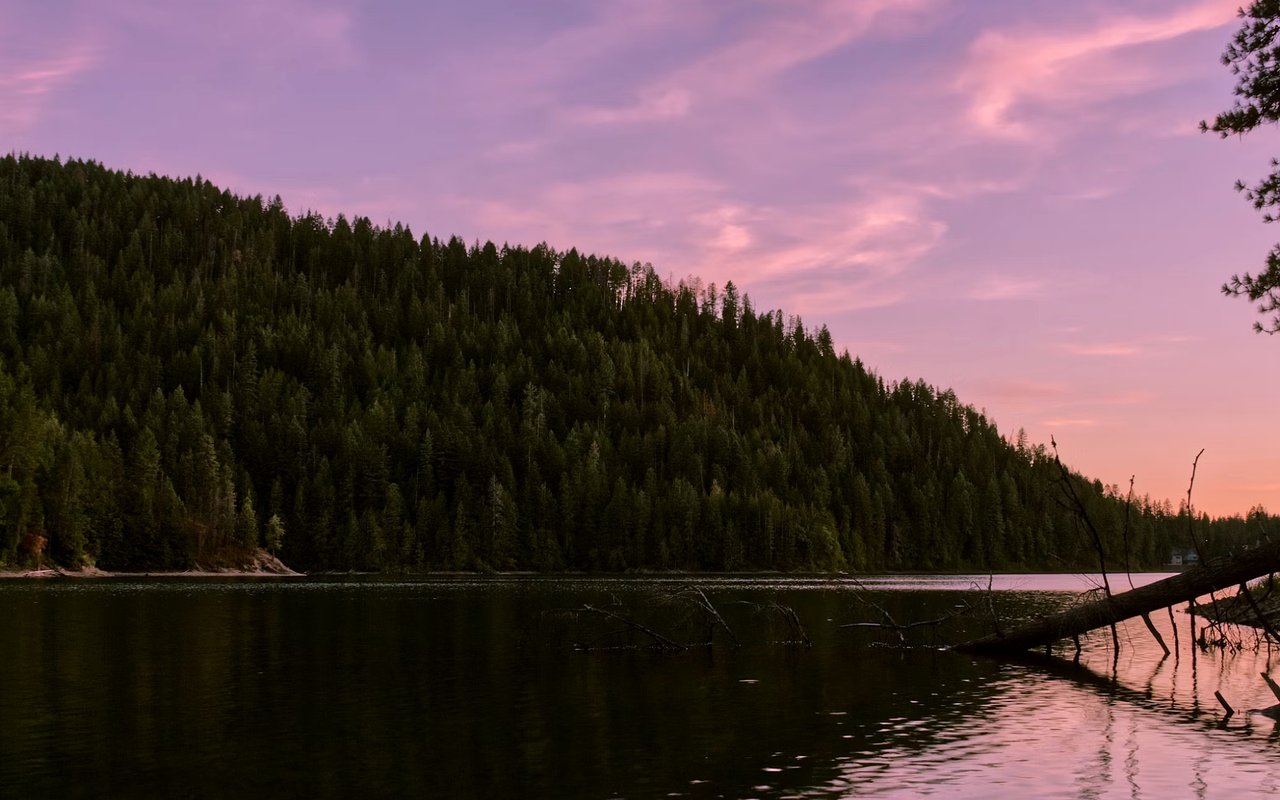 How to Spend a Day Outdoors on Camano Island