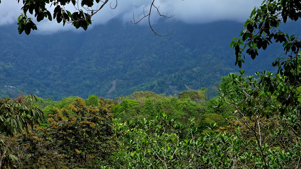 Beautiful mountain view land located in a quiet community in Ojochal. 