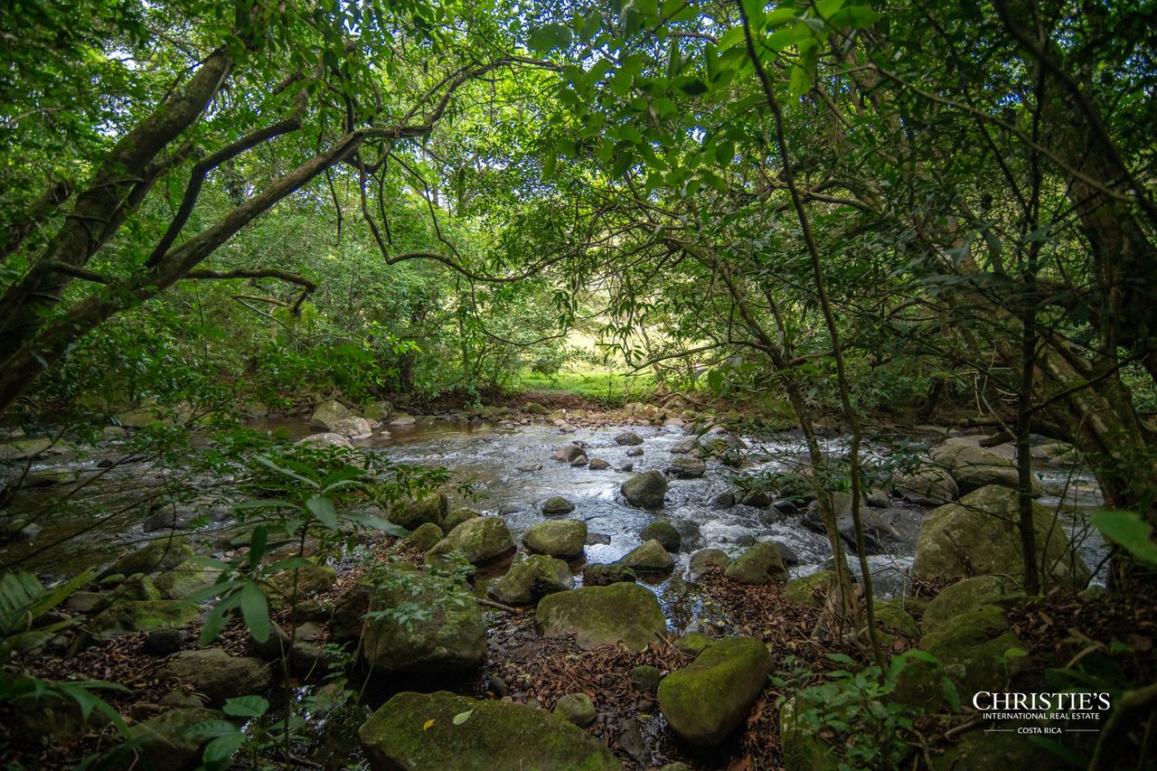 Origins Mineral: A Rare Landholding in Guanacaste’s Volcanic Highlands