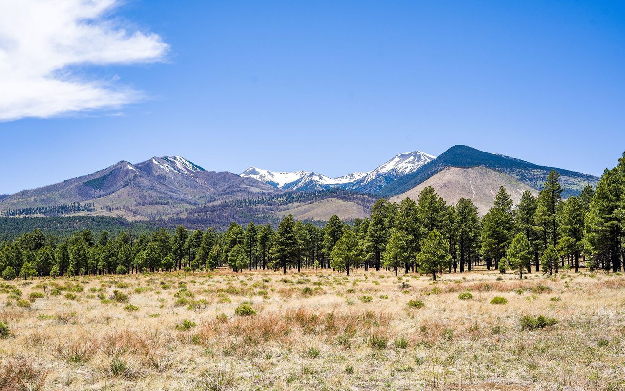 Flagstaff