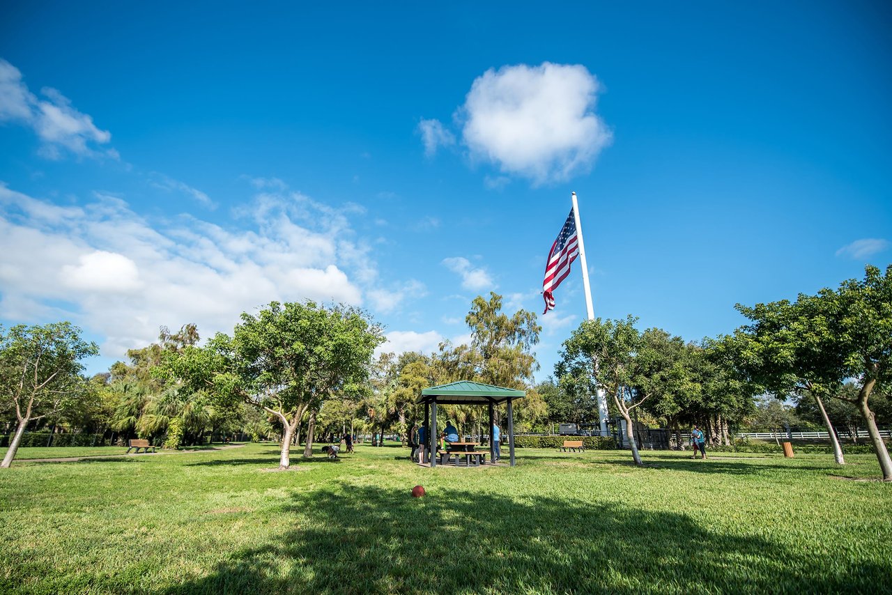 Fun, Dog-Friendly Places Near Parkland