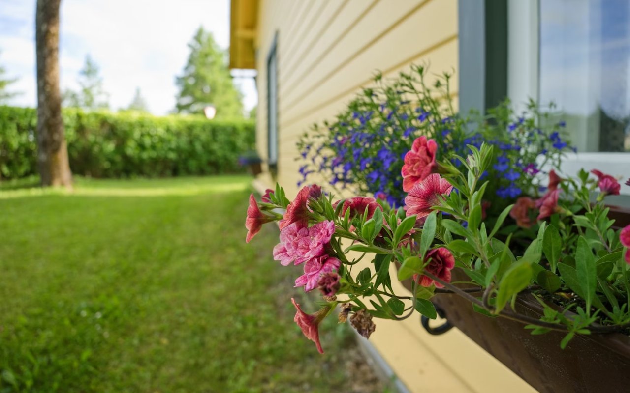 How to Boost Your Home's Curb Appeal in One Weekend