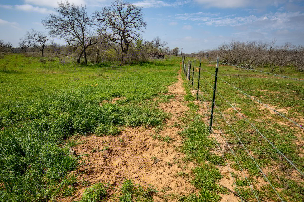 Dry Hollow Creek Ranch | 21.96± Acres | Bexar County